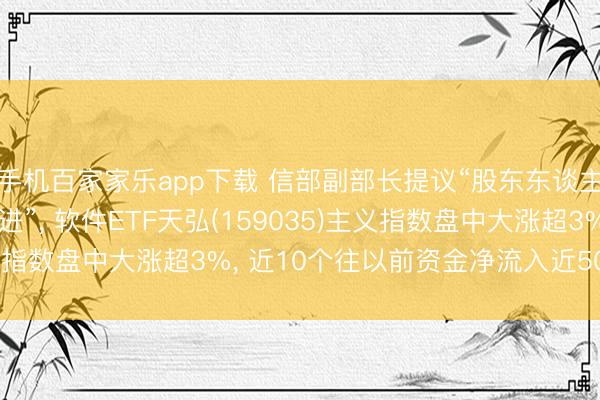 手机百家家乐app下载 信部副部长提议“股东东谈主工智能与软件互促共进”， 软件ETF天弘(159035)主义指数盘中大涨超3%， 近10个往以前资金净流入近5000万元