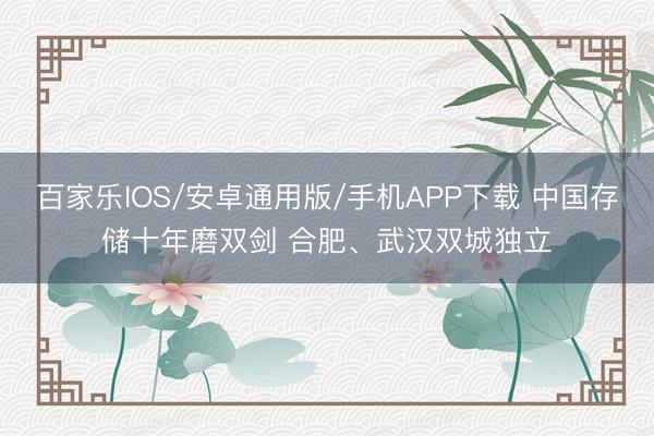 百家乐IOS/安卓通用版/手机APP下载 中国存储十年磨双剑 合肥、武汉双城独立